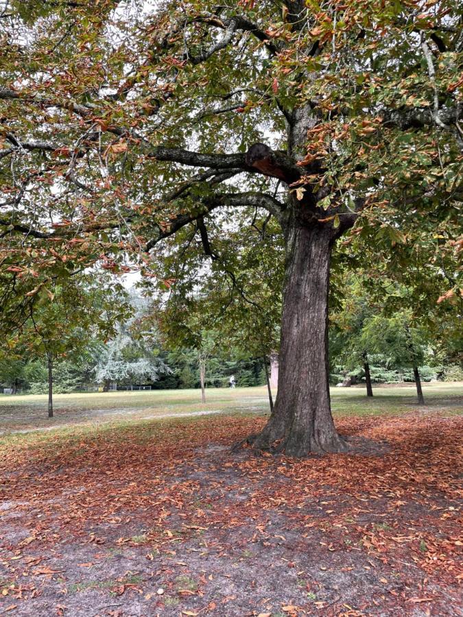 La Bocage Affittacamere Bordeaux